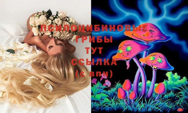 шишки Зеленодольск