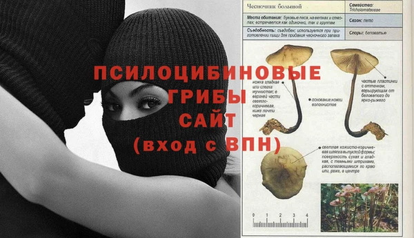шишки Зеленодольск