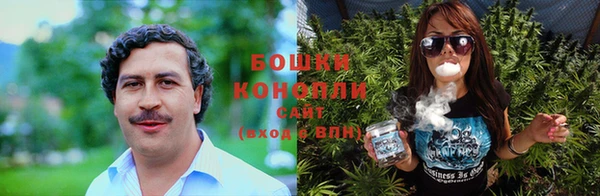 шишки Зеленодольск