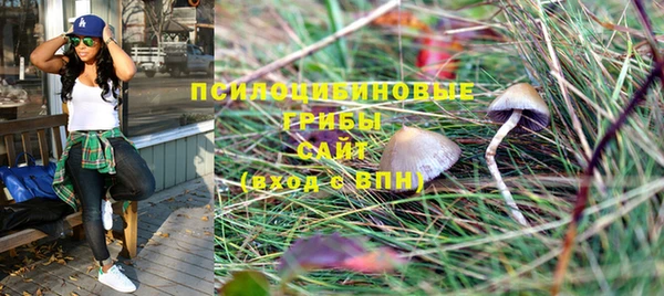 a pvp Зерноград