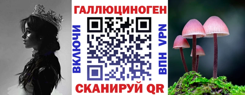 Галлюциногенные грибы GOLDEN TEACHER  Купить  Тюкалинск 